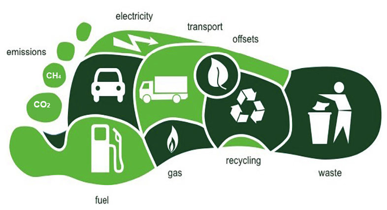 Simulasi Jejak Karbon Pribadi untuk Edukasi Publik